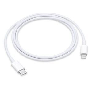 Apple iPhone charger